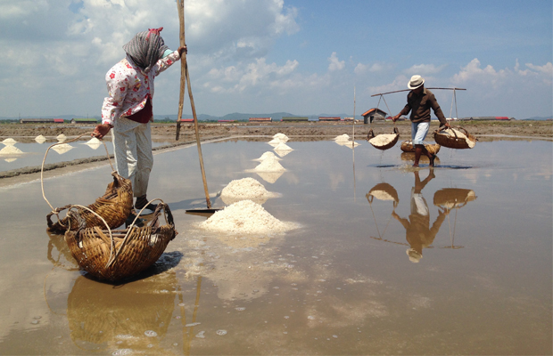Kampot Salt Product Fields 2